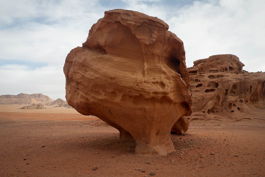 Cow Rock Cod cow rock - Royal Jordanian