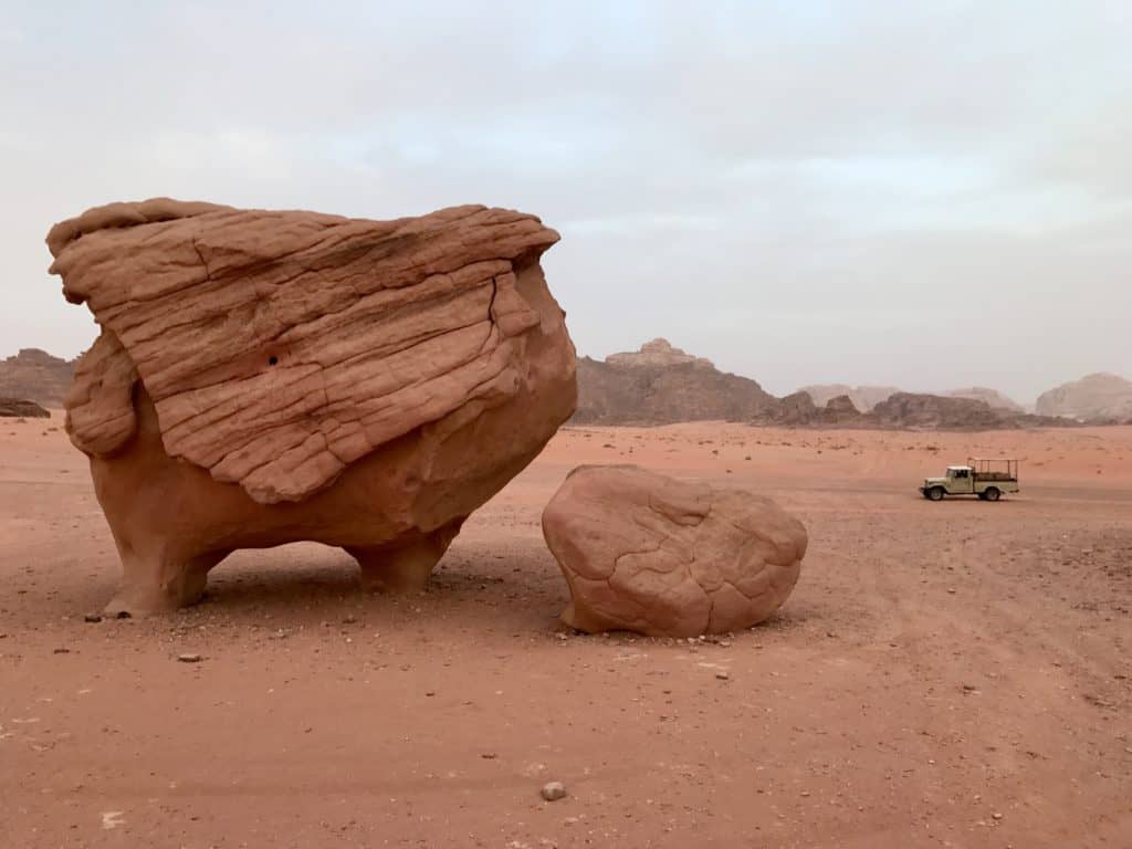 Cow Rock Cod cow rock - Royal Jordanian