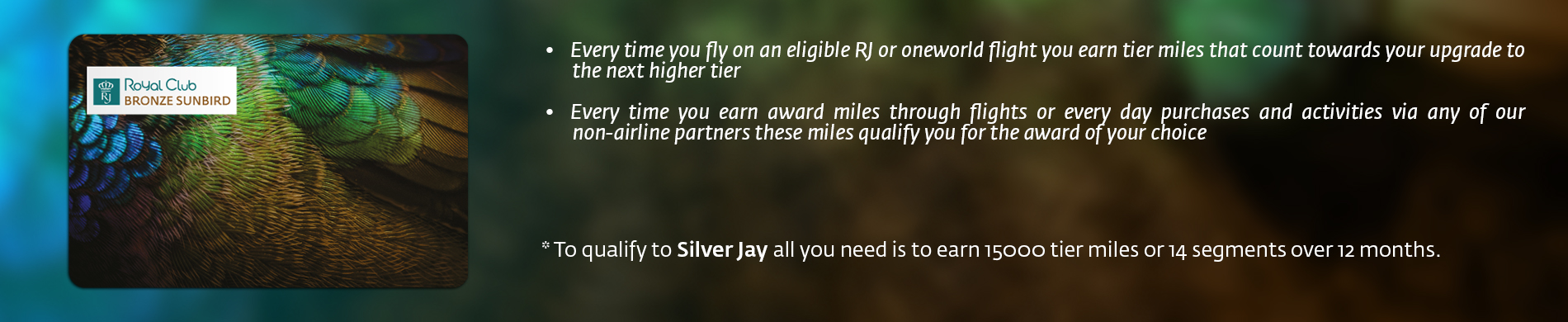 royal club bronze card and explanation